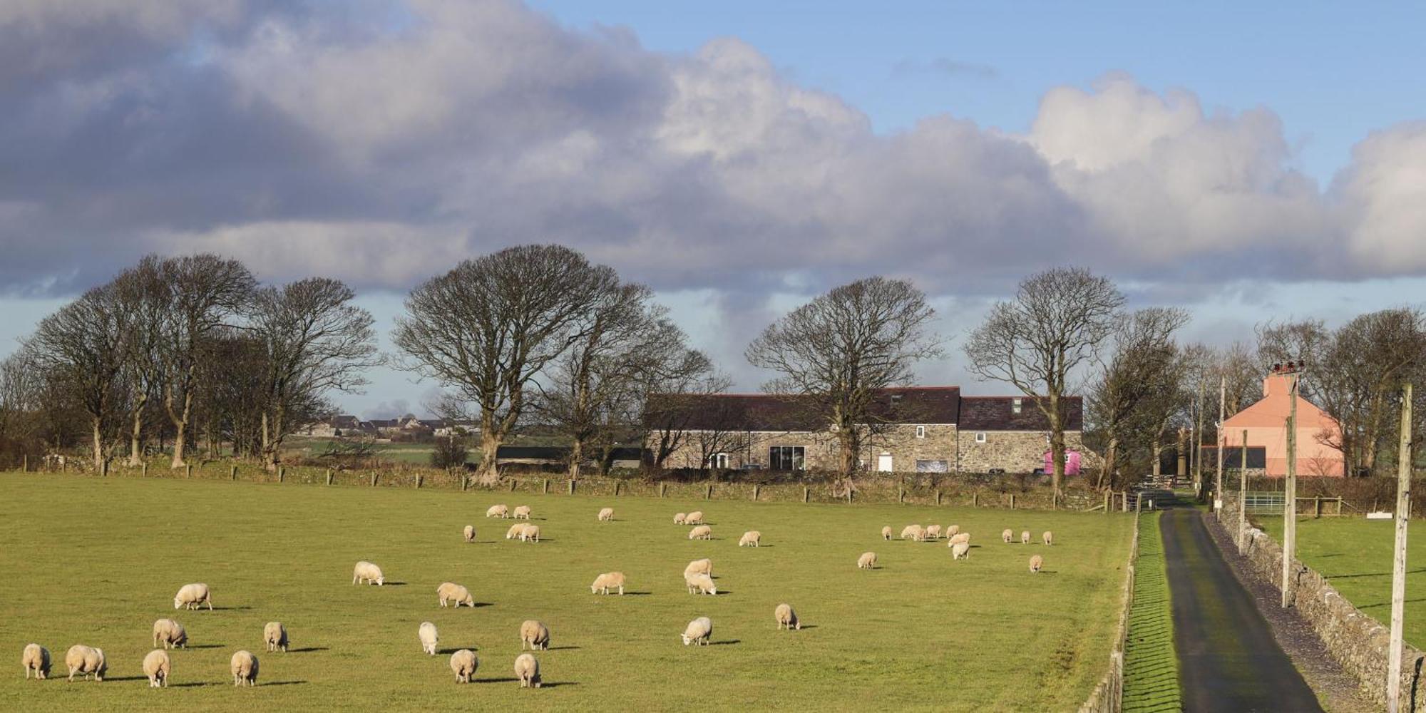 Villa The Outbuildings Newborough  Exterior foto